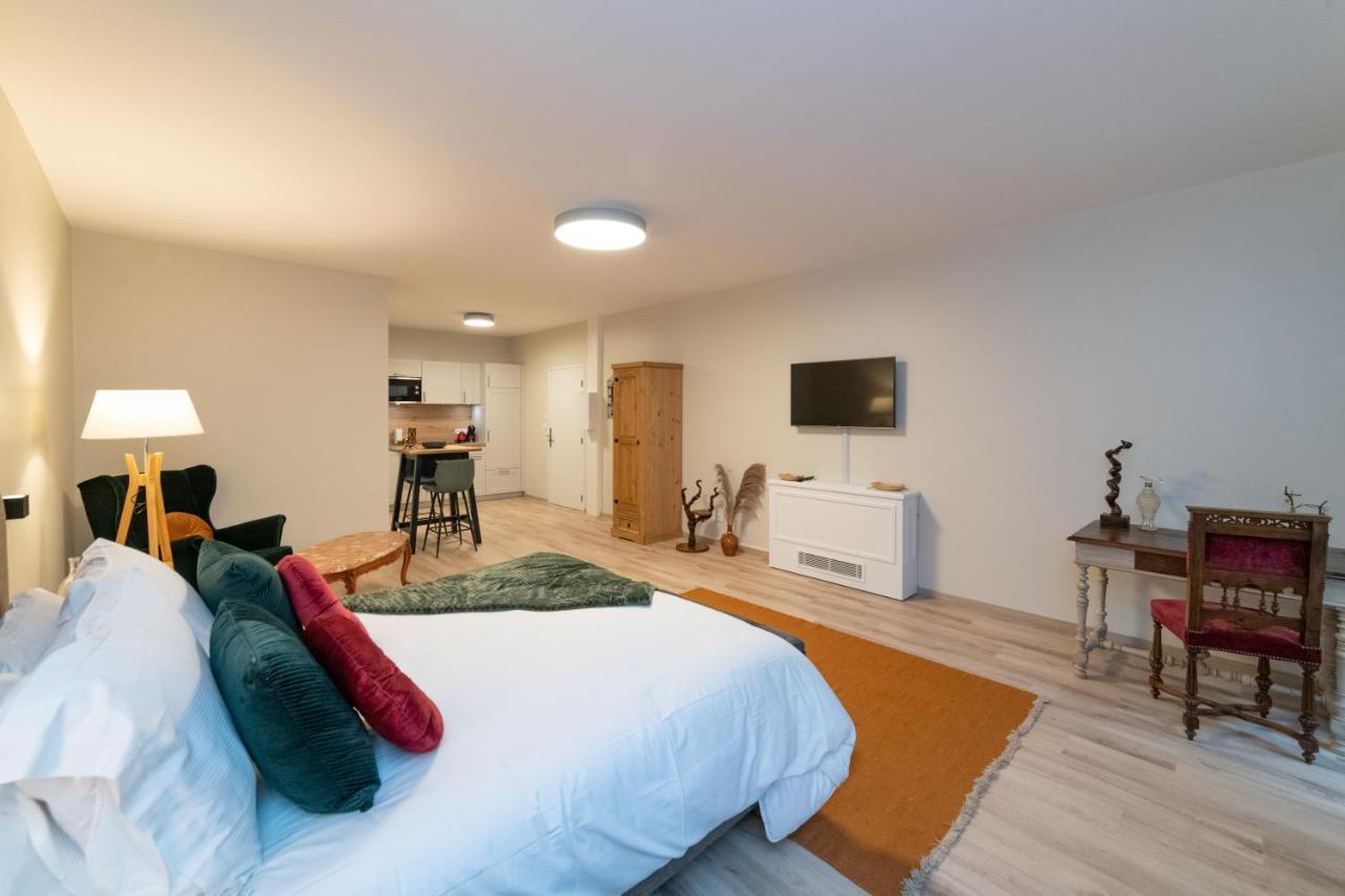 Les Coursives Apartment Mâcon